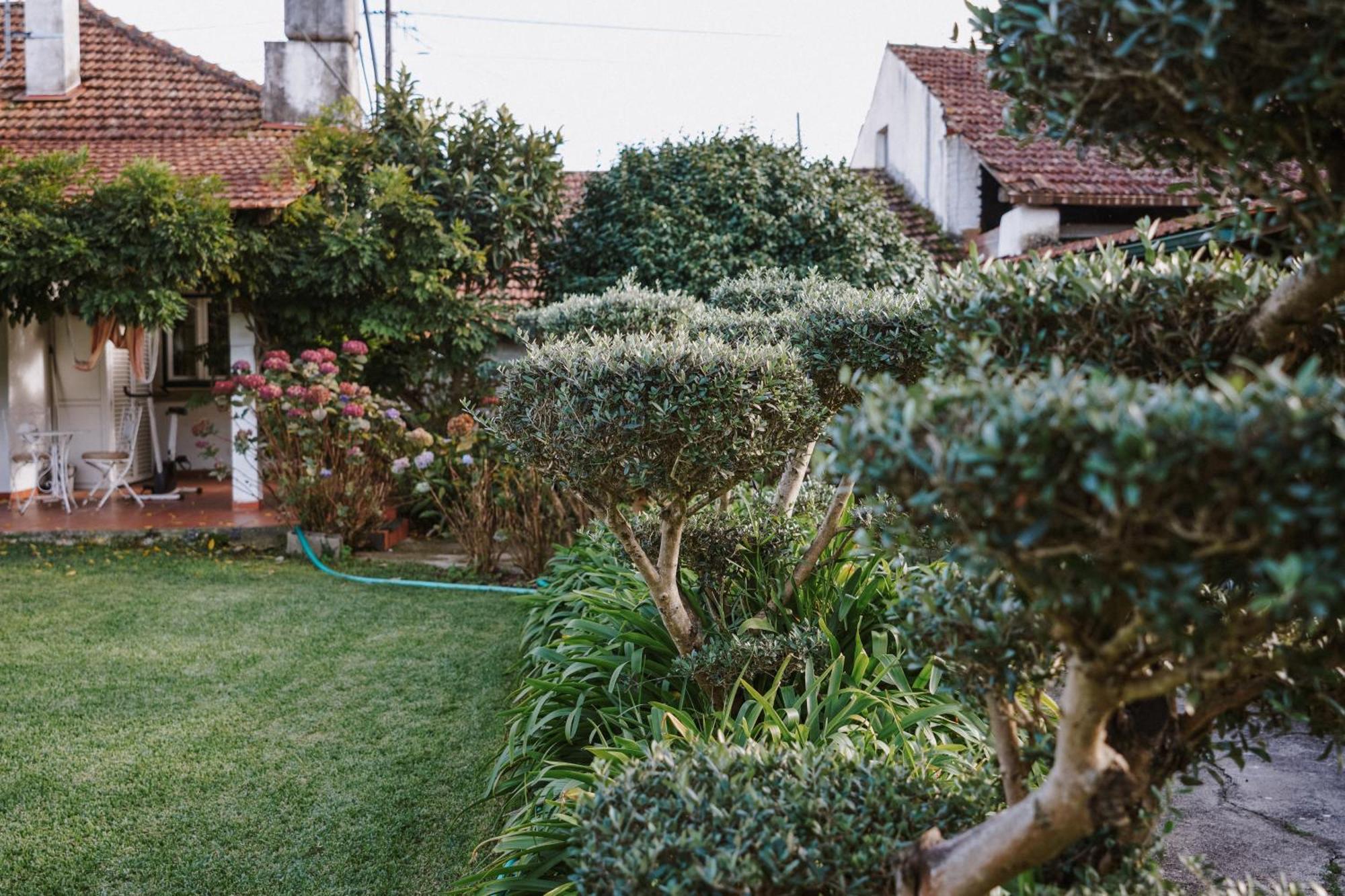 Casa Rural Oliveira Do Bairro Exterior foto